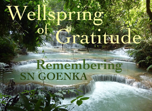 Wellspring of Gratitude picture